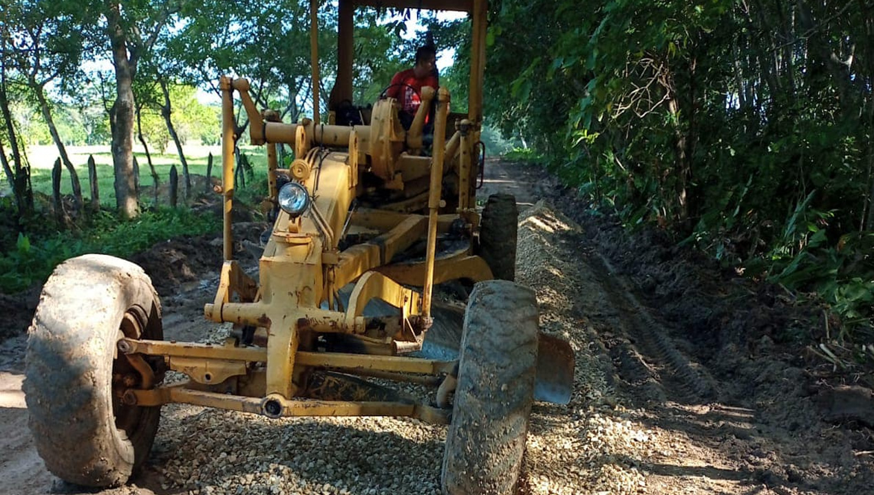 Boletín 187